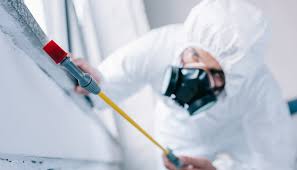 Best Fumigation Services  in Niagara Falls, NY